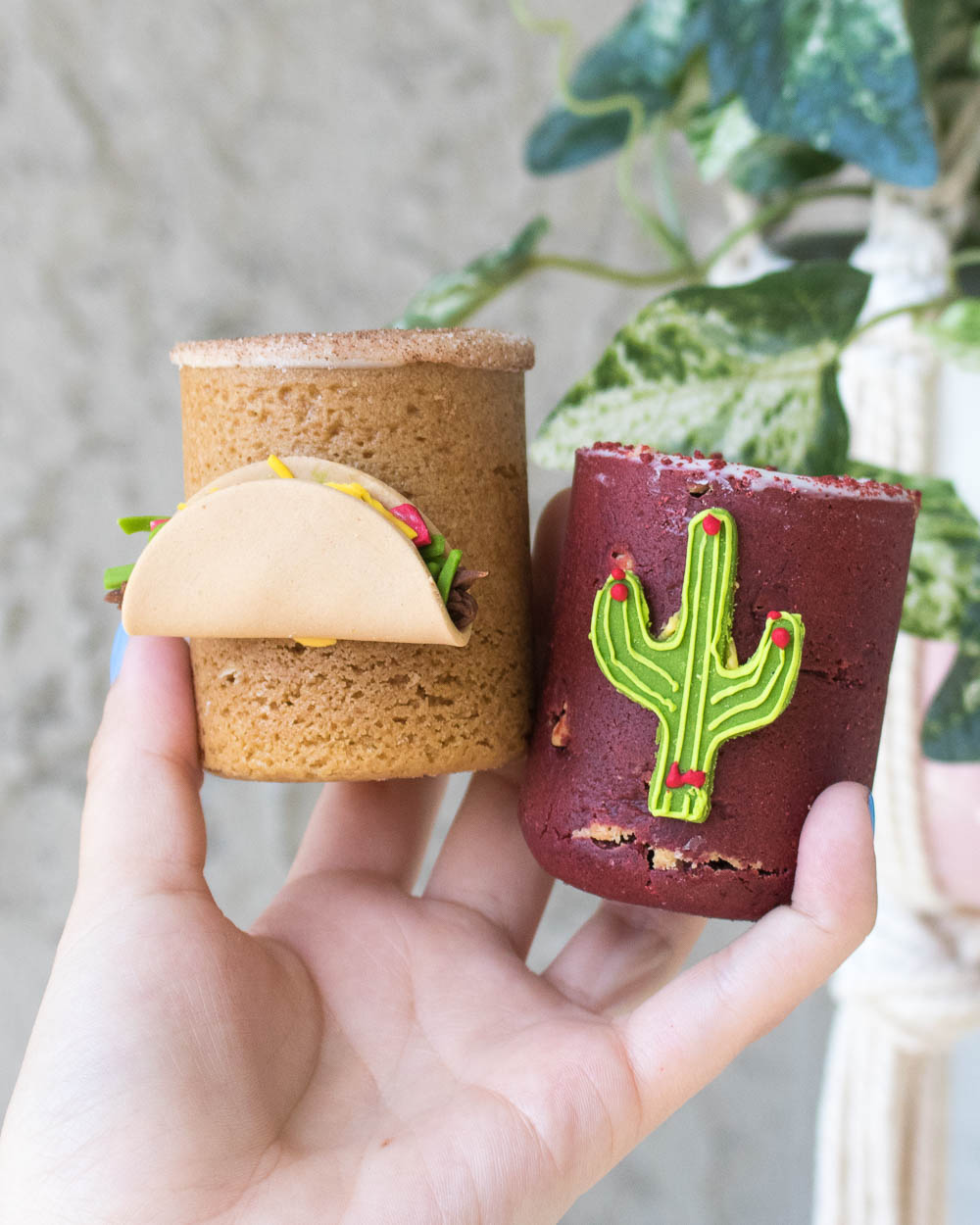 Cinco de Mayo - 5 ideas for a fun fiesta! - The Dirty Cookie