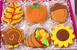 Six decorated Thanksgiving cookies: a fall leaf, pumpkin, acorn, turkey, cornucopia and sunflower